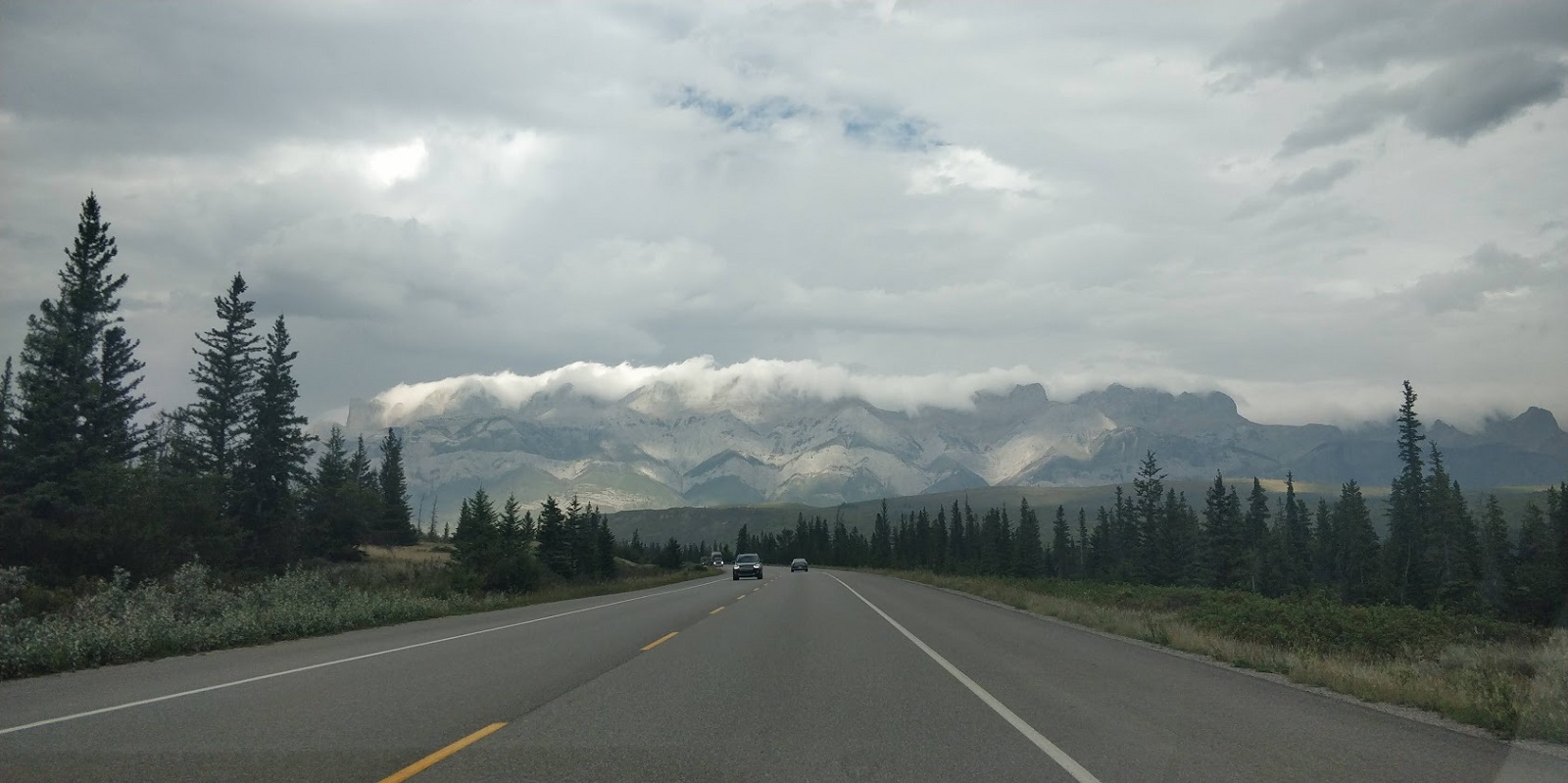 IMG33.jpg