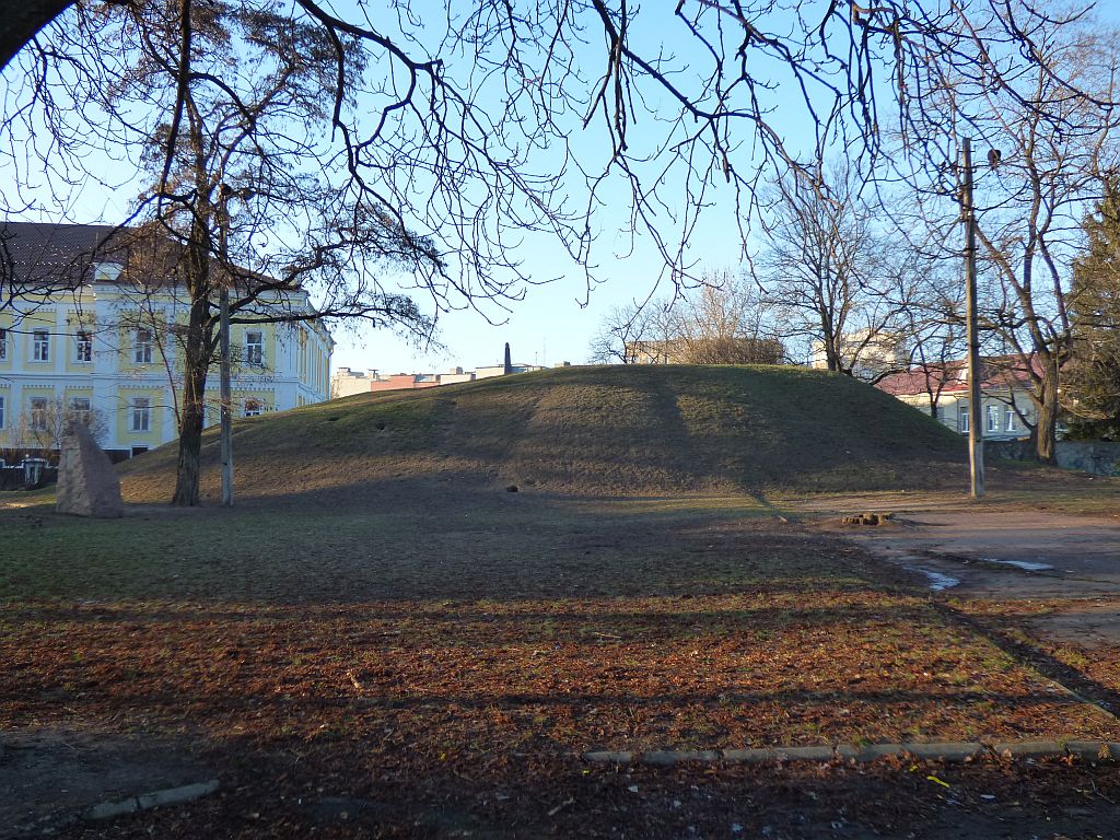 84.jpg