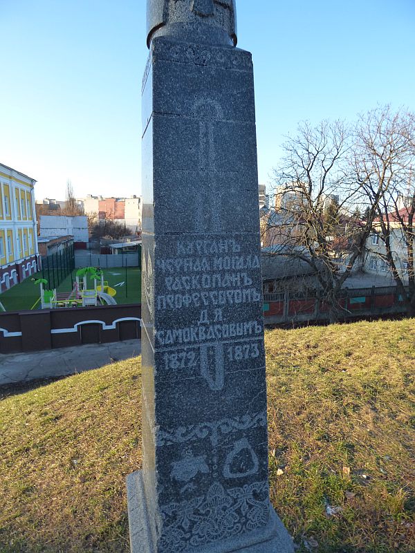 85.jpg