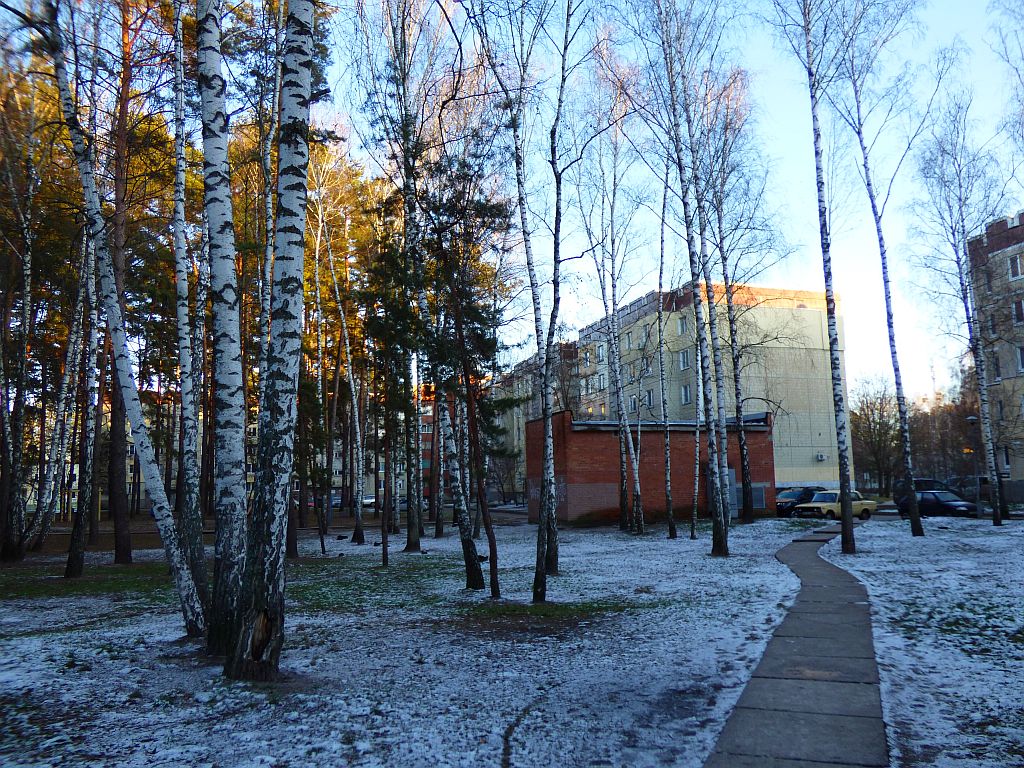 128.jpg