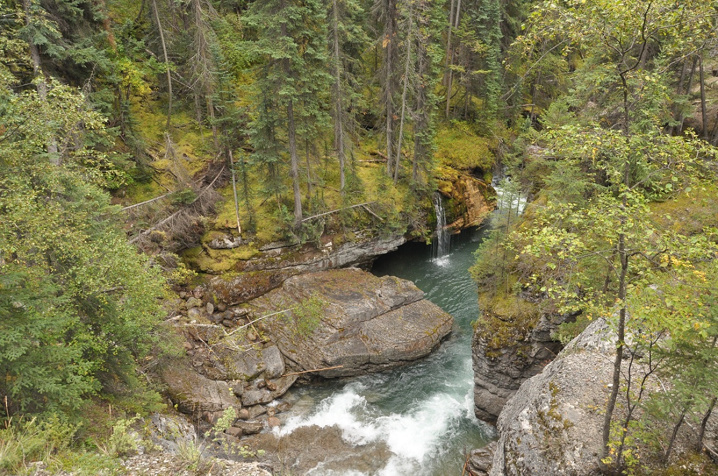IMG47.JPG