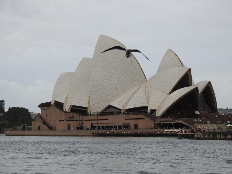 syd1.JPG