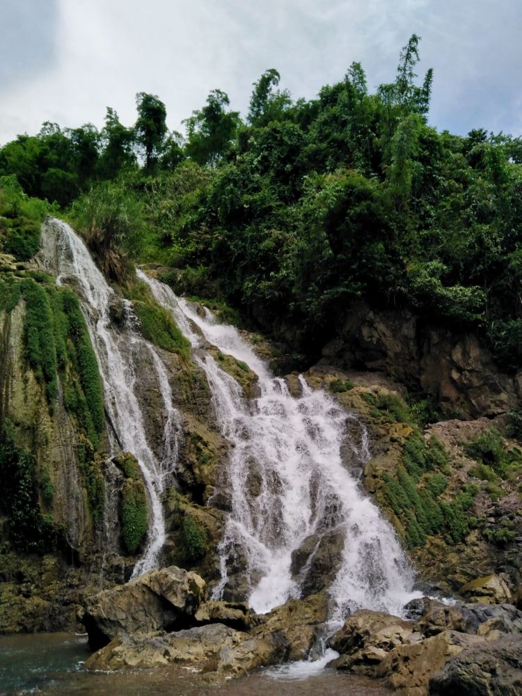 Lato.jpg