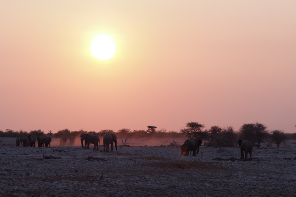 Namibia (27).JPG