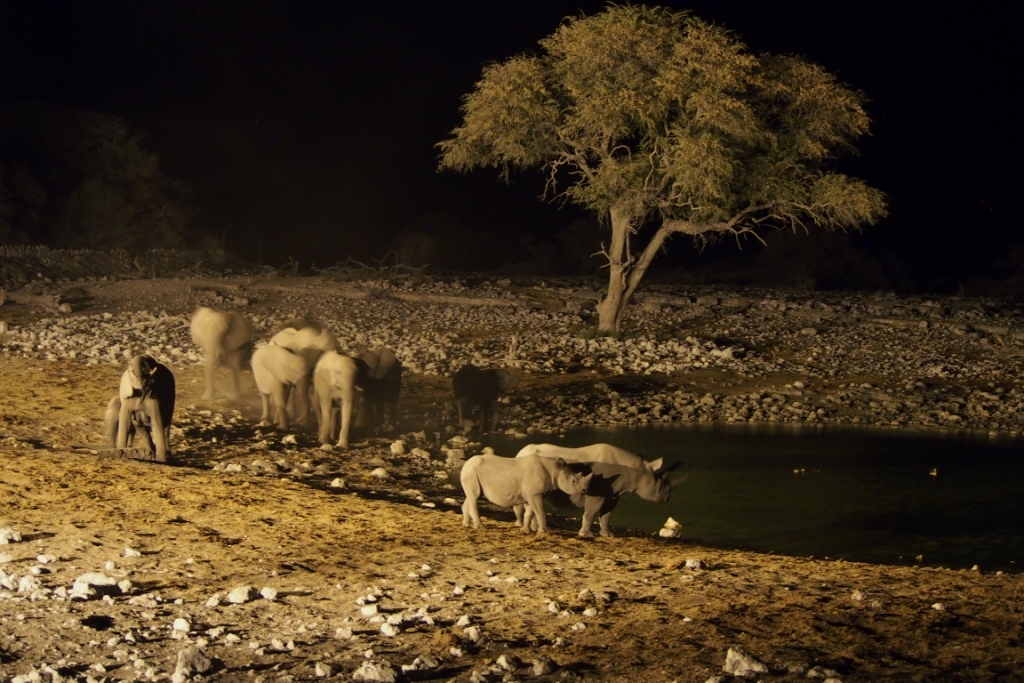 Namibia (28).JPG