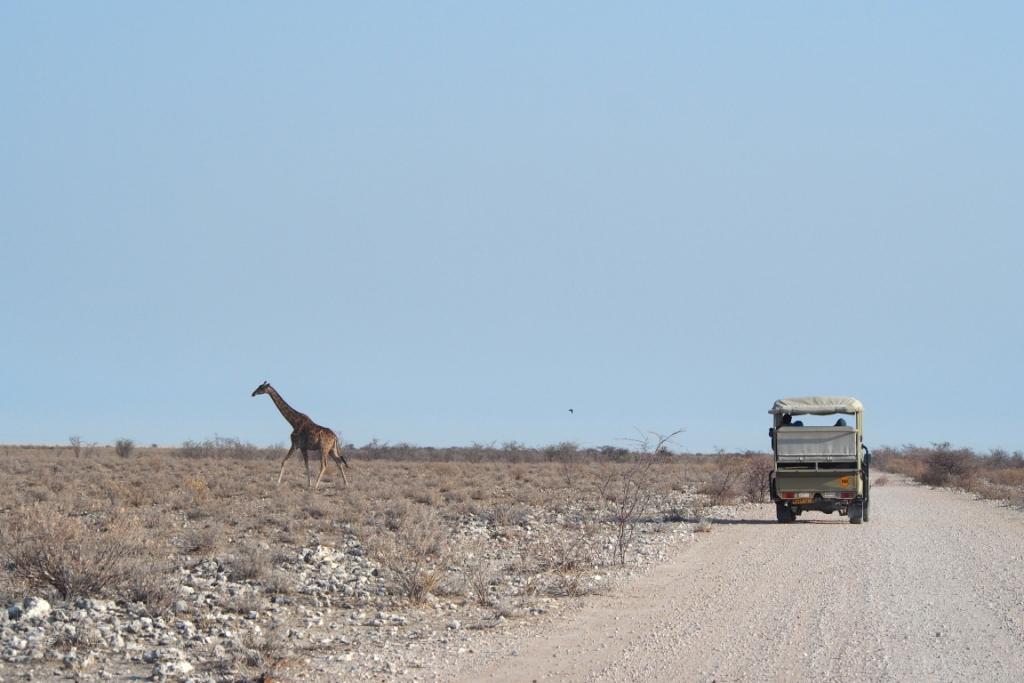 Namibia (30).JPG