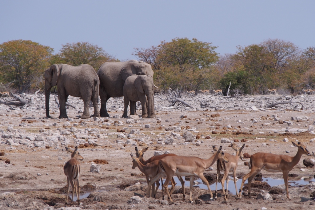 Namibia (31).JPG