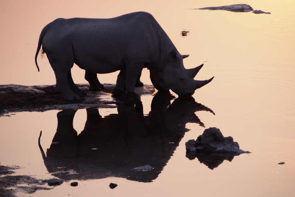 Namibia (32).JPG