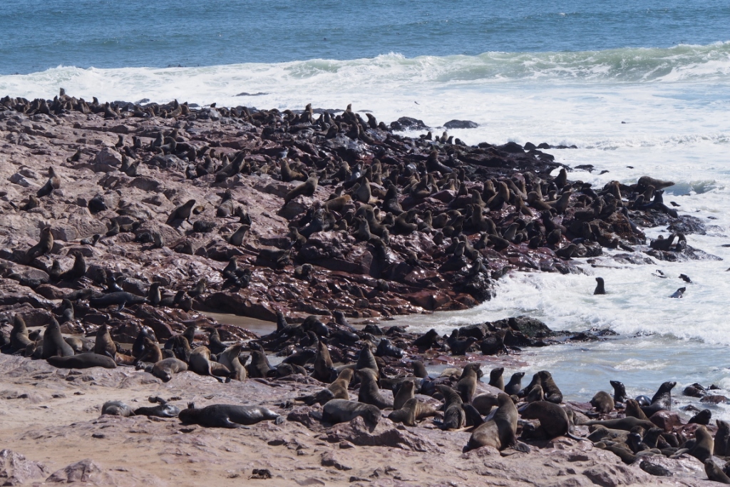 Namibia (9).JPG