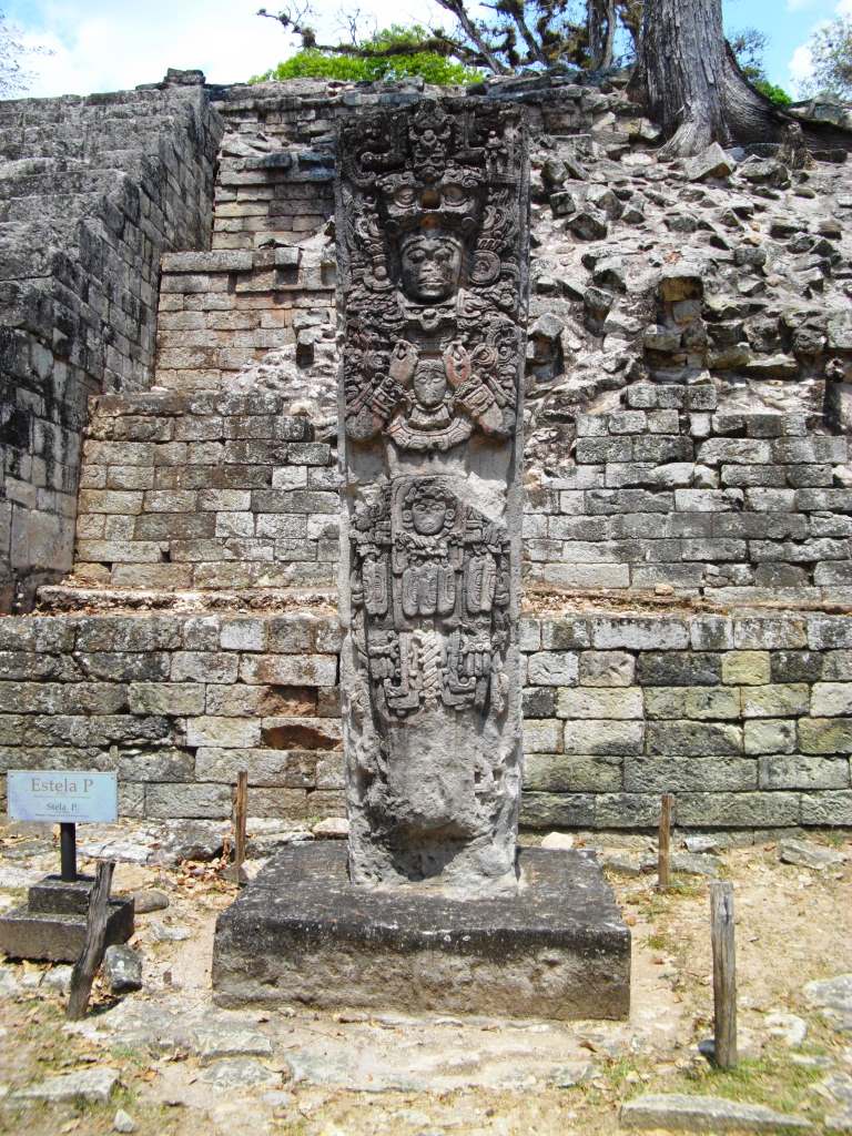 IMGP3739.JPG