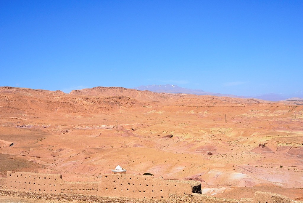 DSC_1392.JPG