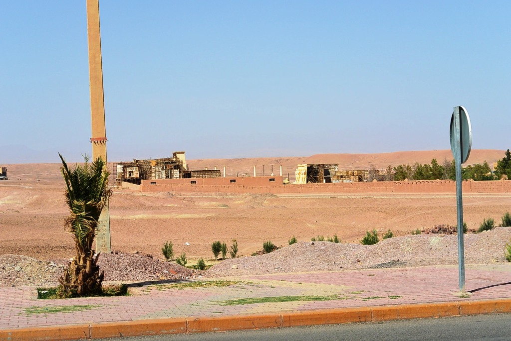 DSC_1398.JPG