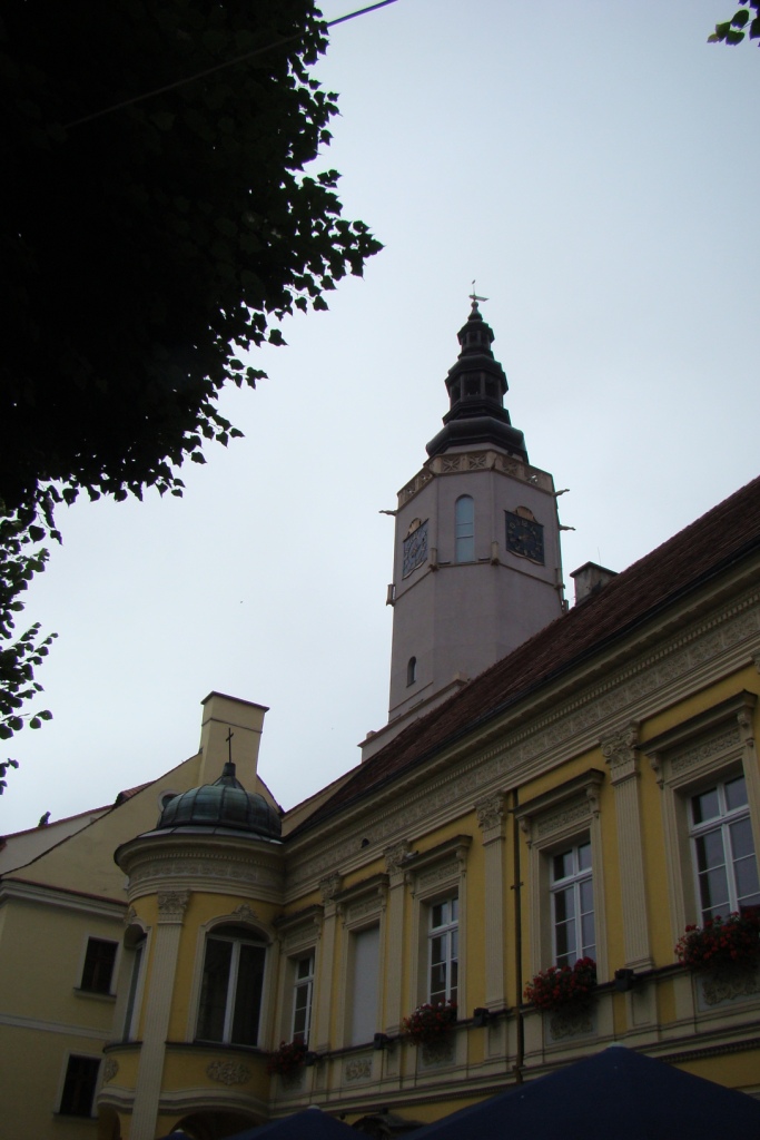 DSC09517.JPG