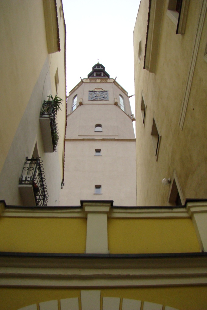 DSC09548.JPG