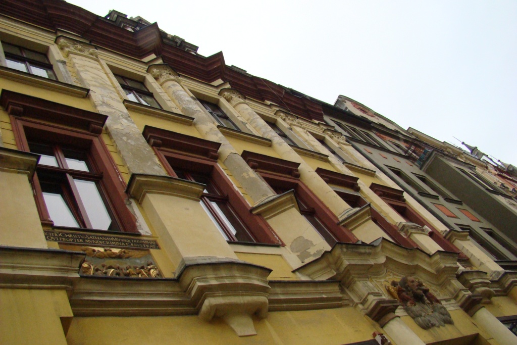 DSC09562.JPG