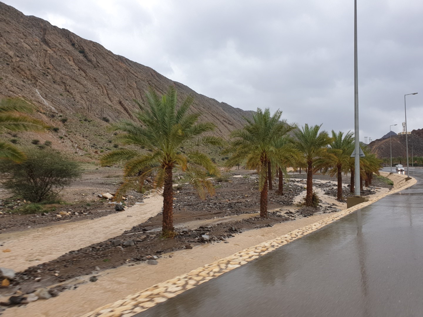 muskat2.jpg