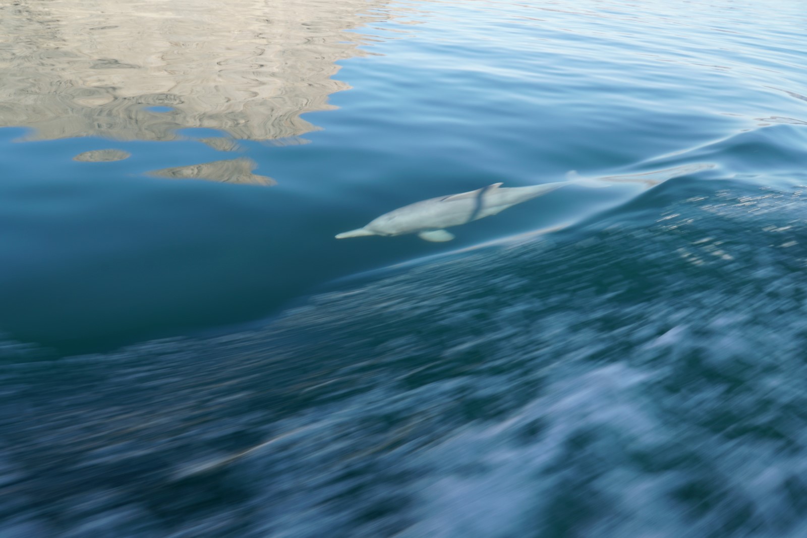 fiord8.JPG