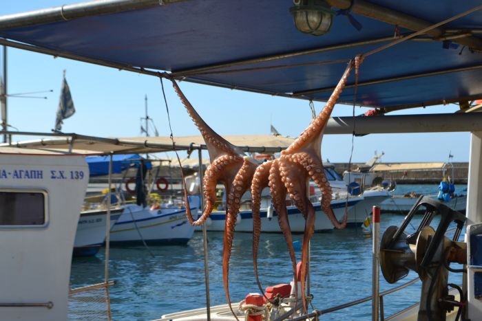 DSC_0135.jpg