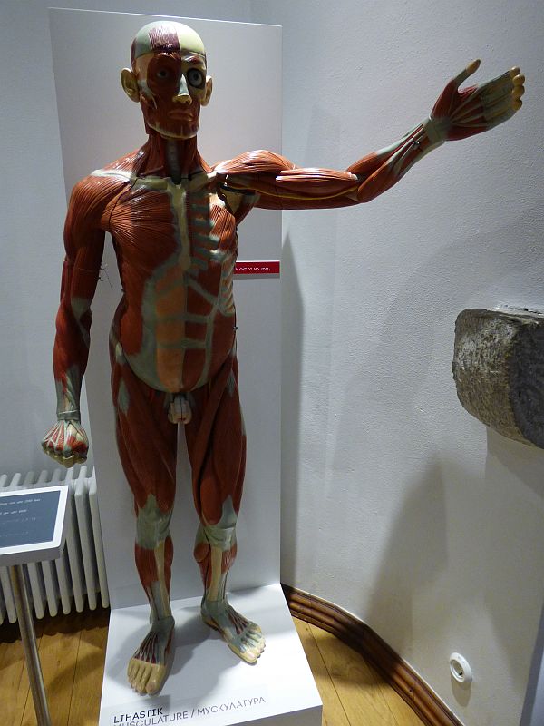 43.jpg