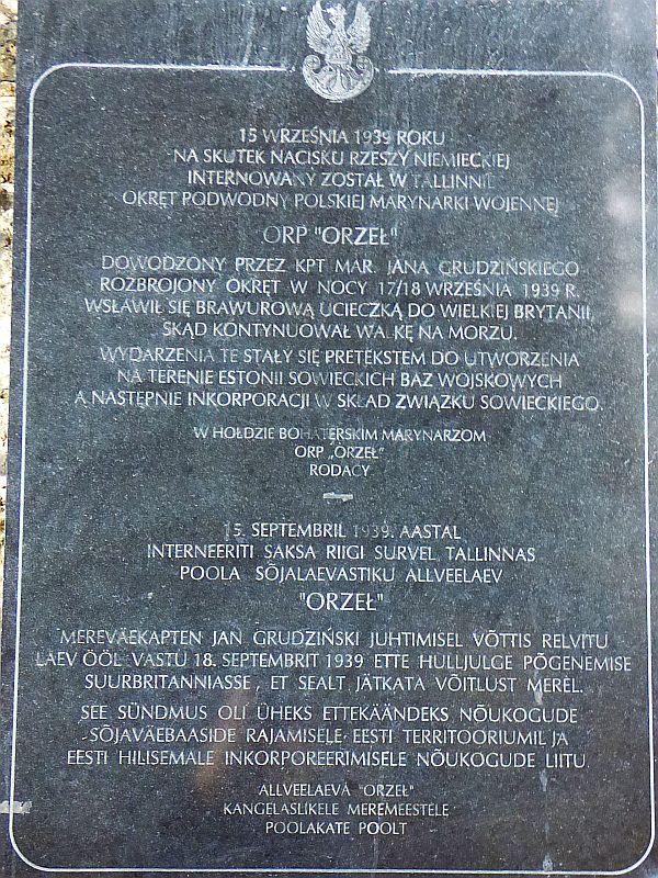 97.jpg