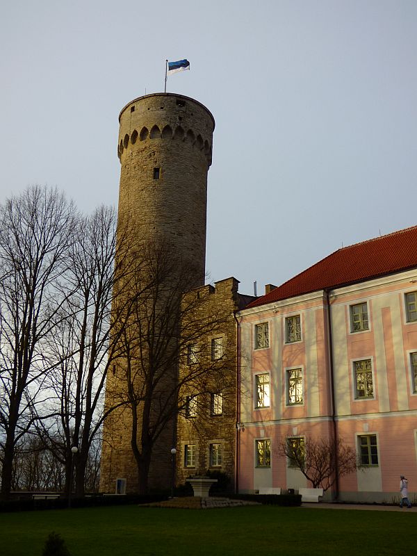 186.jpg