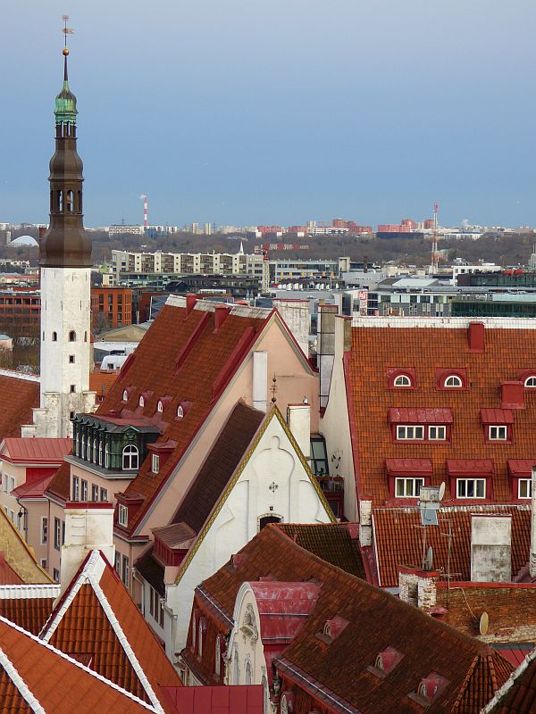 190.jpg