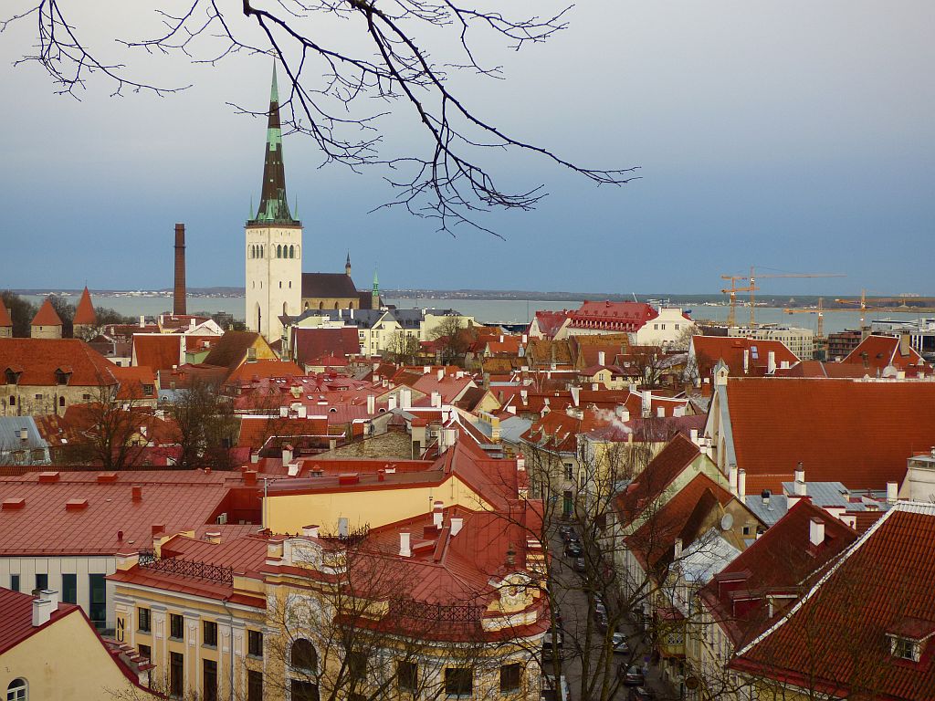 191.jpg