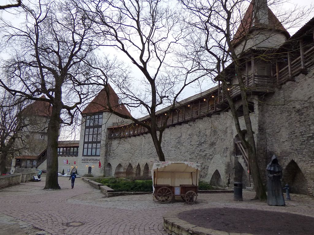 203.jpg