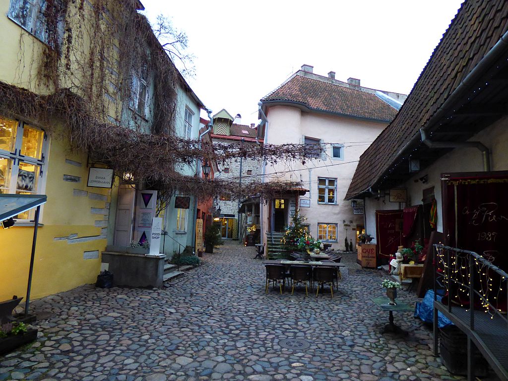 204.jpg