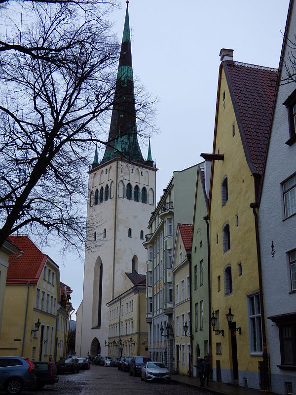 237.jpg