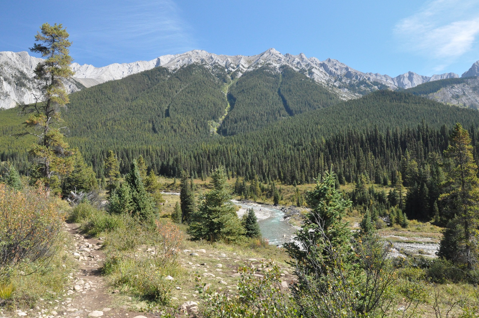 IMG117.JPG