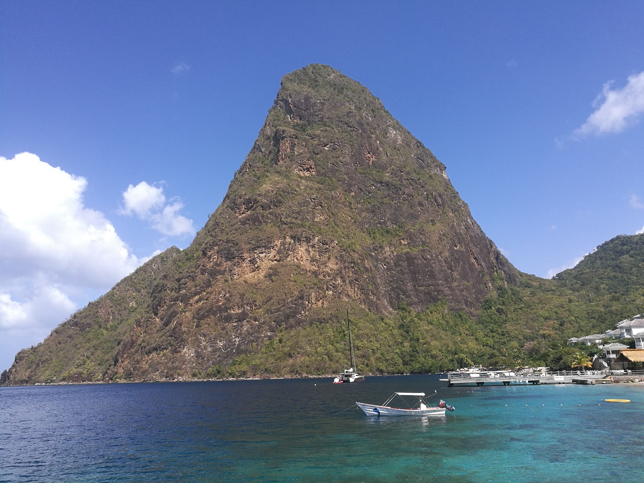 PetitPiton.jpg