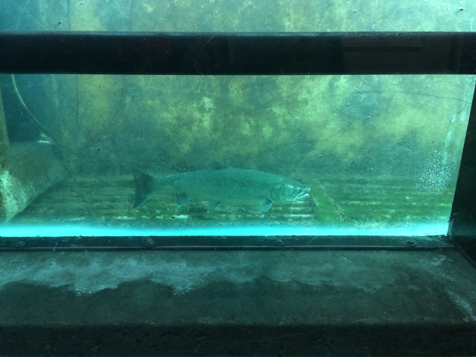 IMG145.JPG