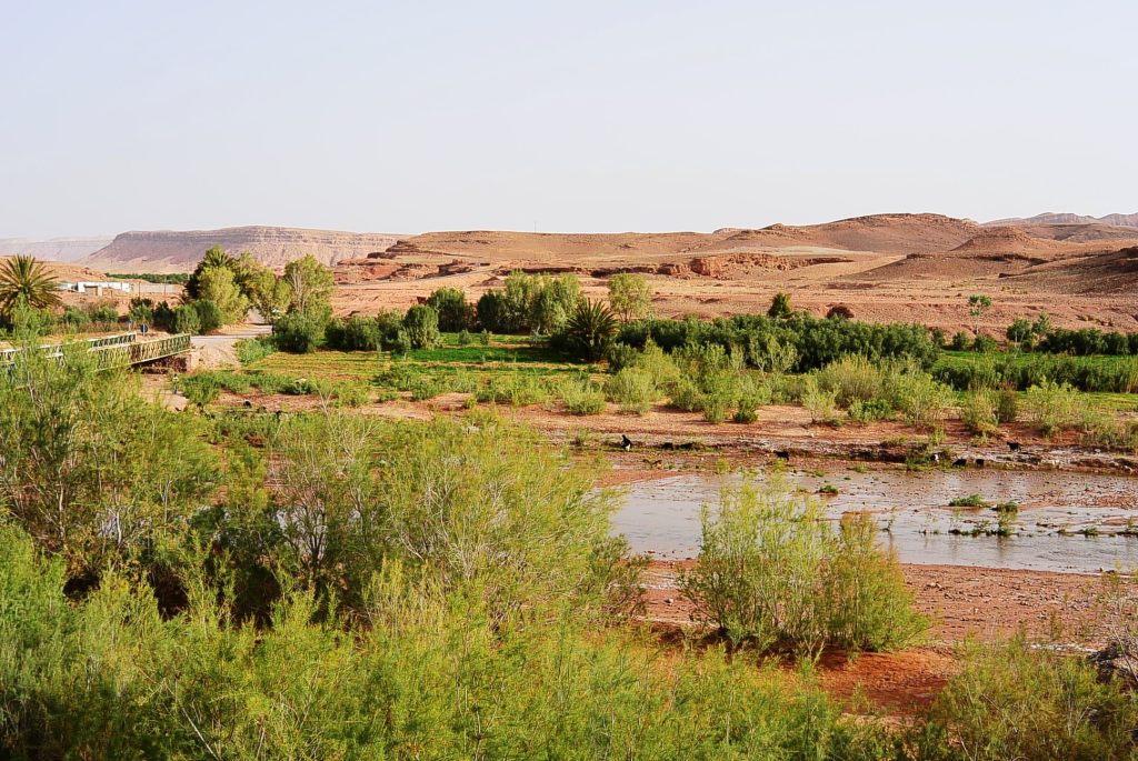 DSC_1503.JPG