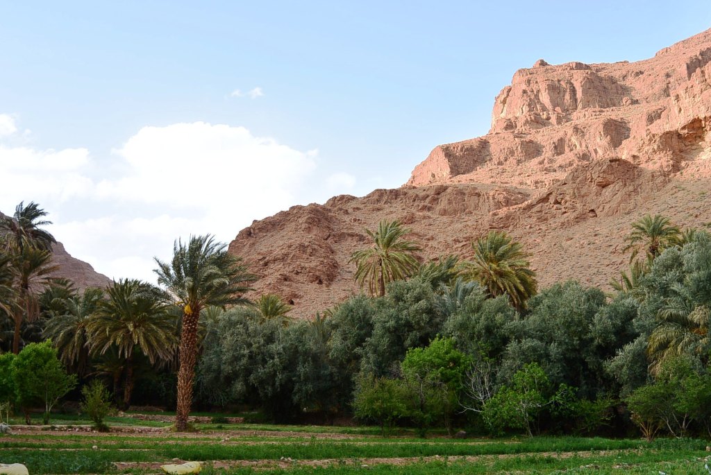 DSC_1554.JPG