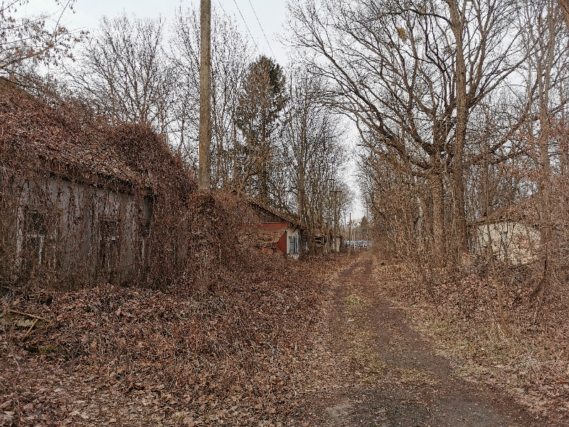 IMG_20200214_125616.jpg