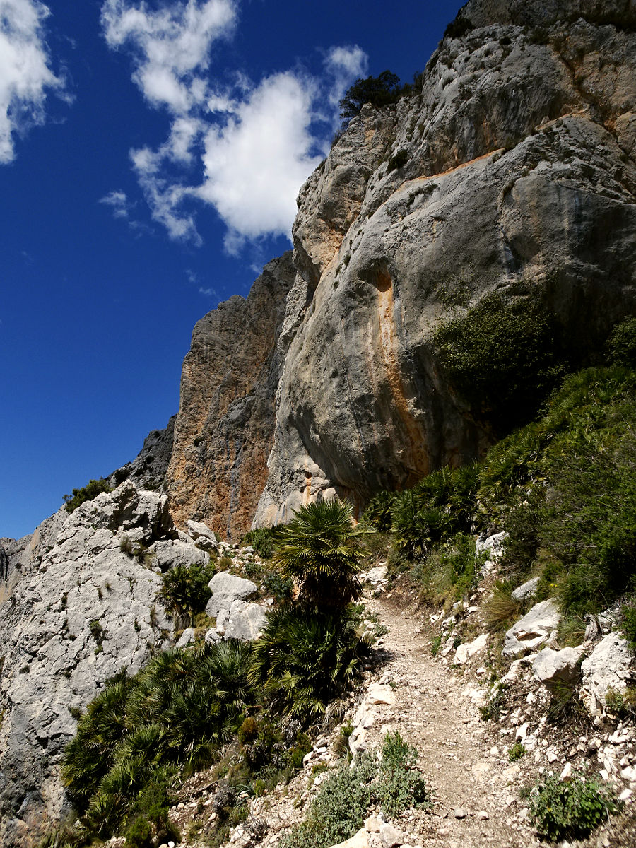 DSC01610.JPG
