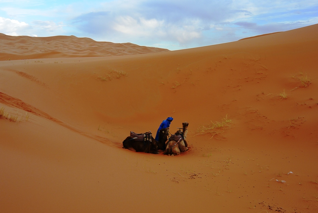 DSC_1634.JPG