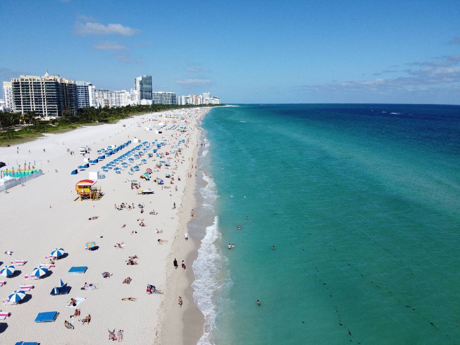 miami1.jpg