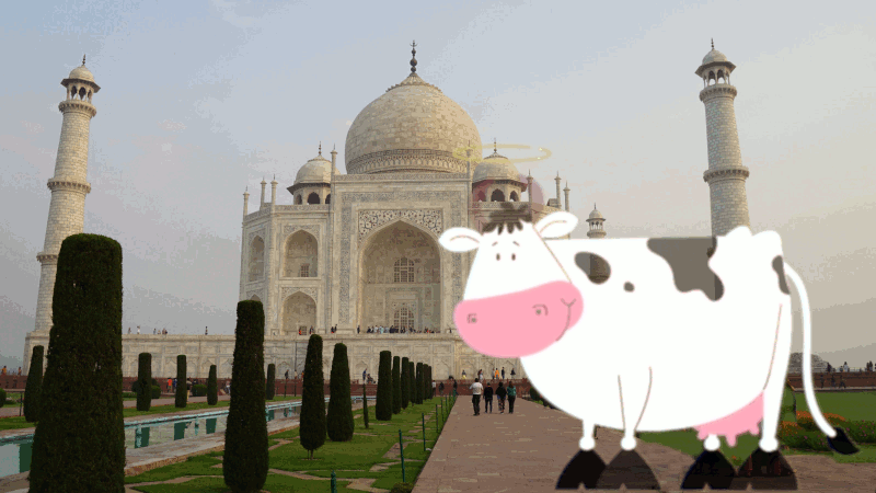 tajmahal.gif