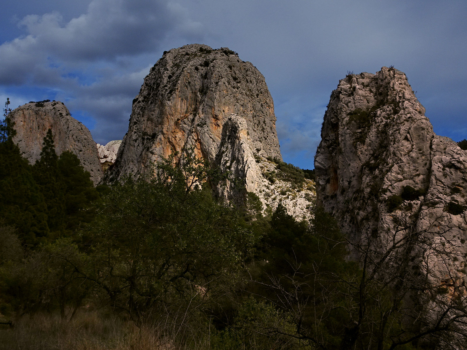 DSC01695.JPG