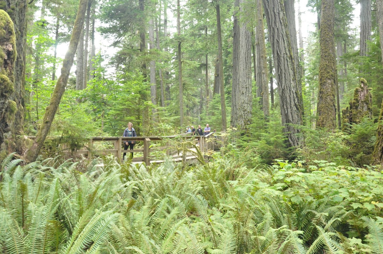 IMG194.JPG