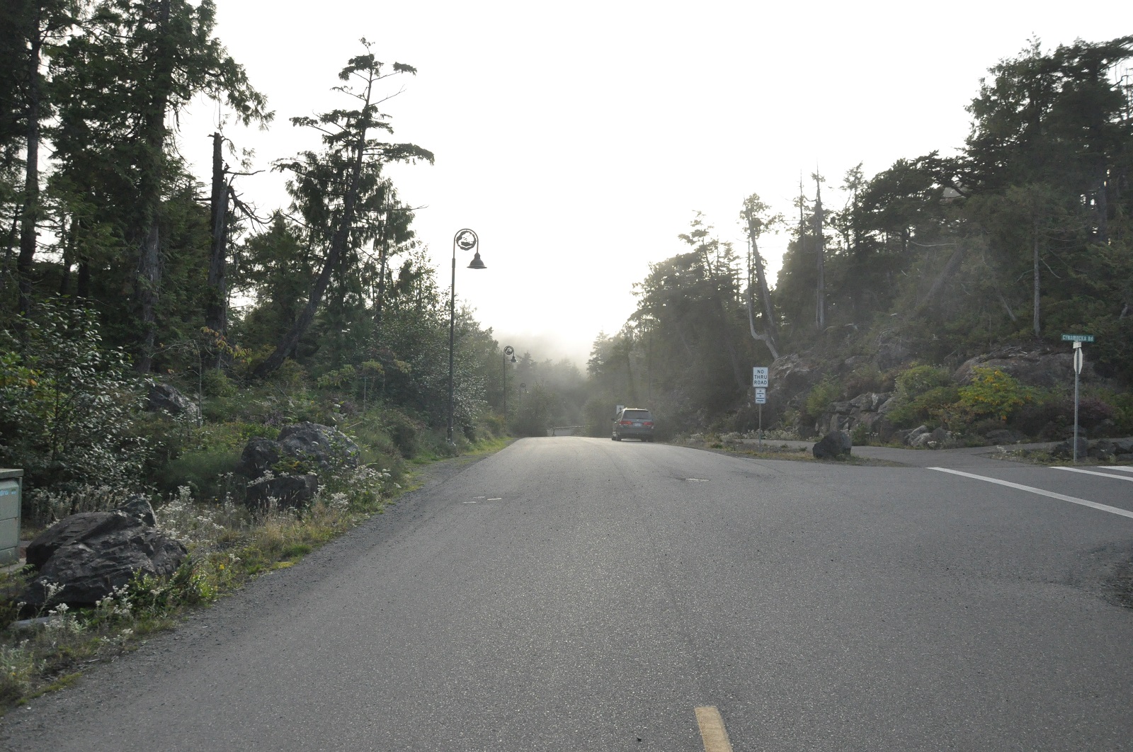 IMG202.JPG