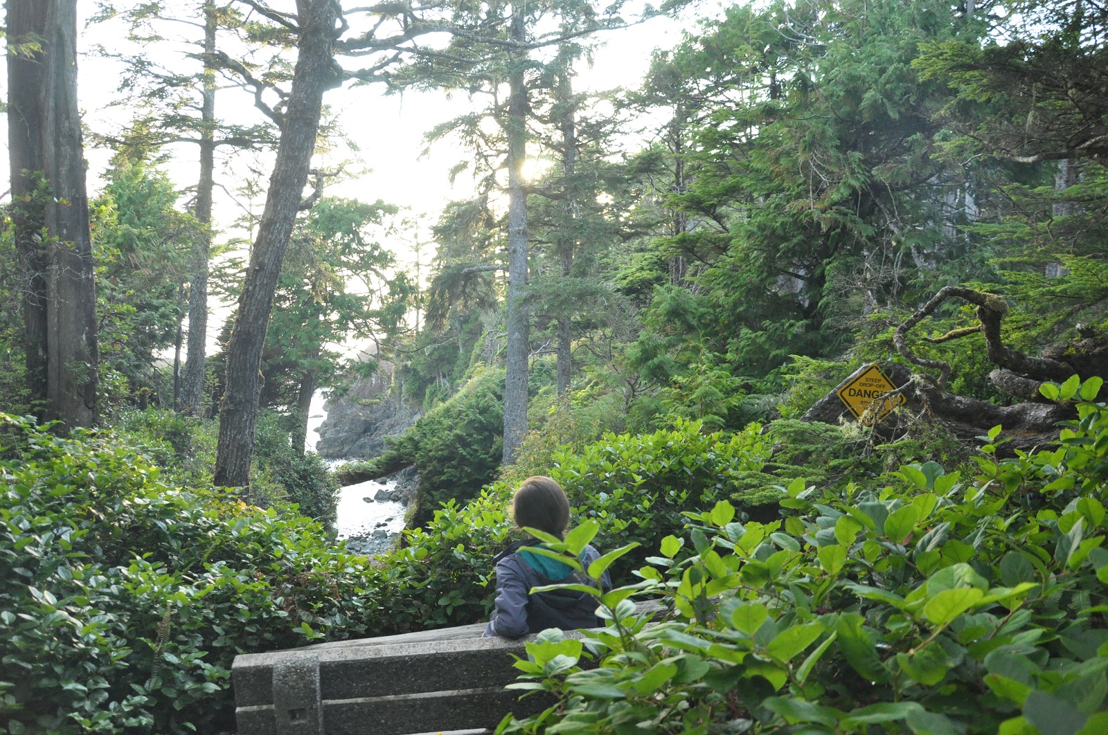 IMG204.JPG