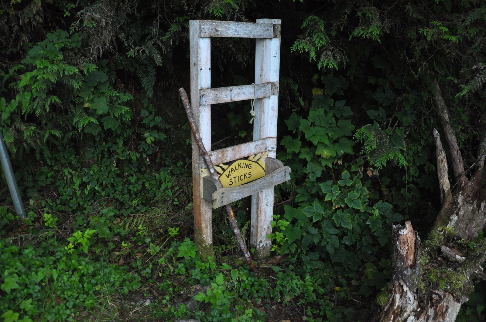 IMG213.JPG