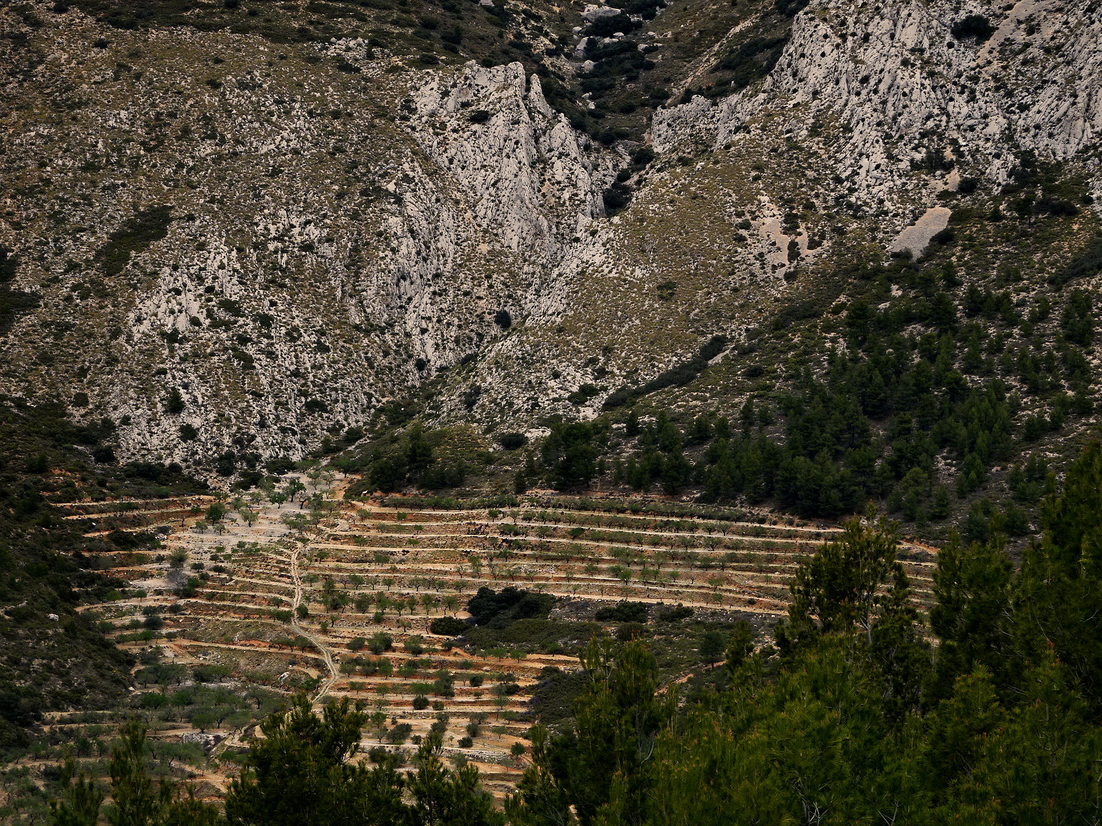 DSC01839.JPG