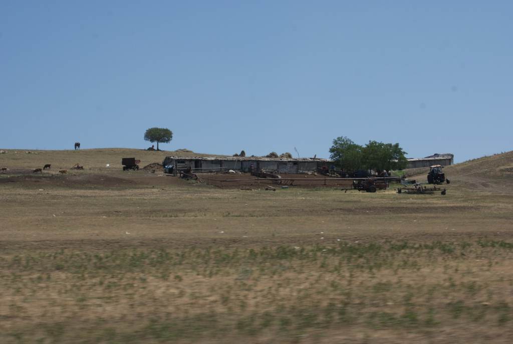 DSC09236.JPG