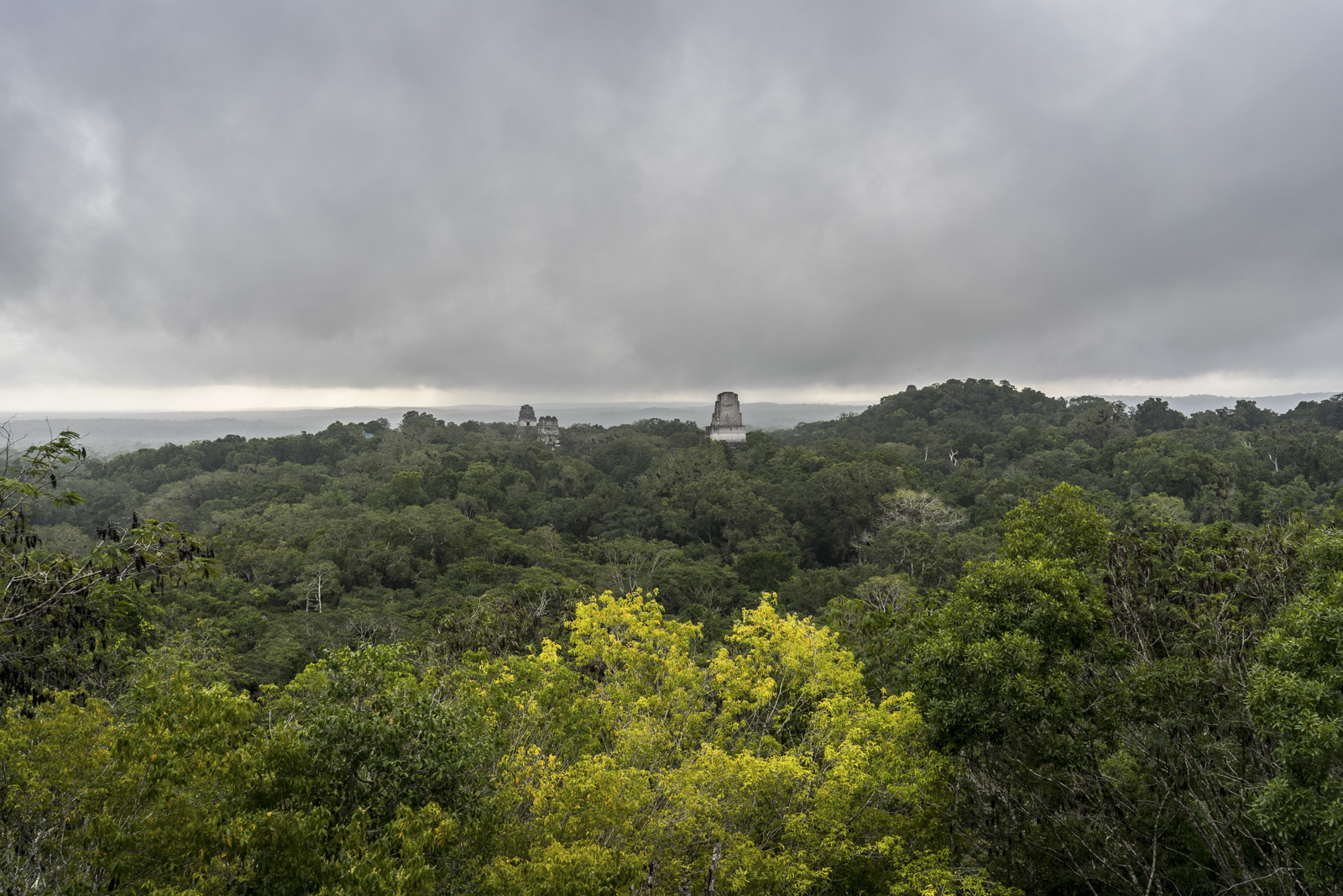 DSC01440-2.jpg