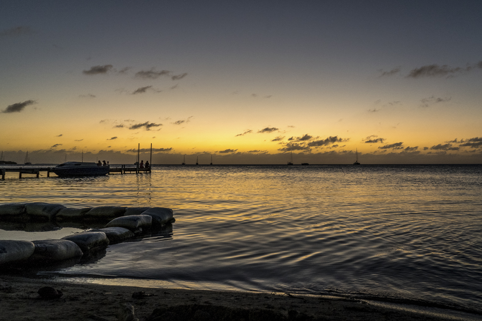 DSC01562-2.jpg