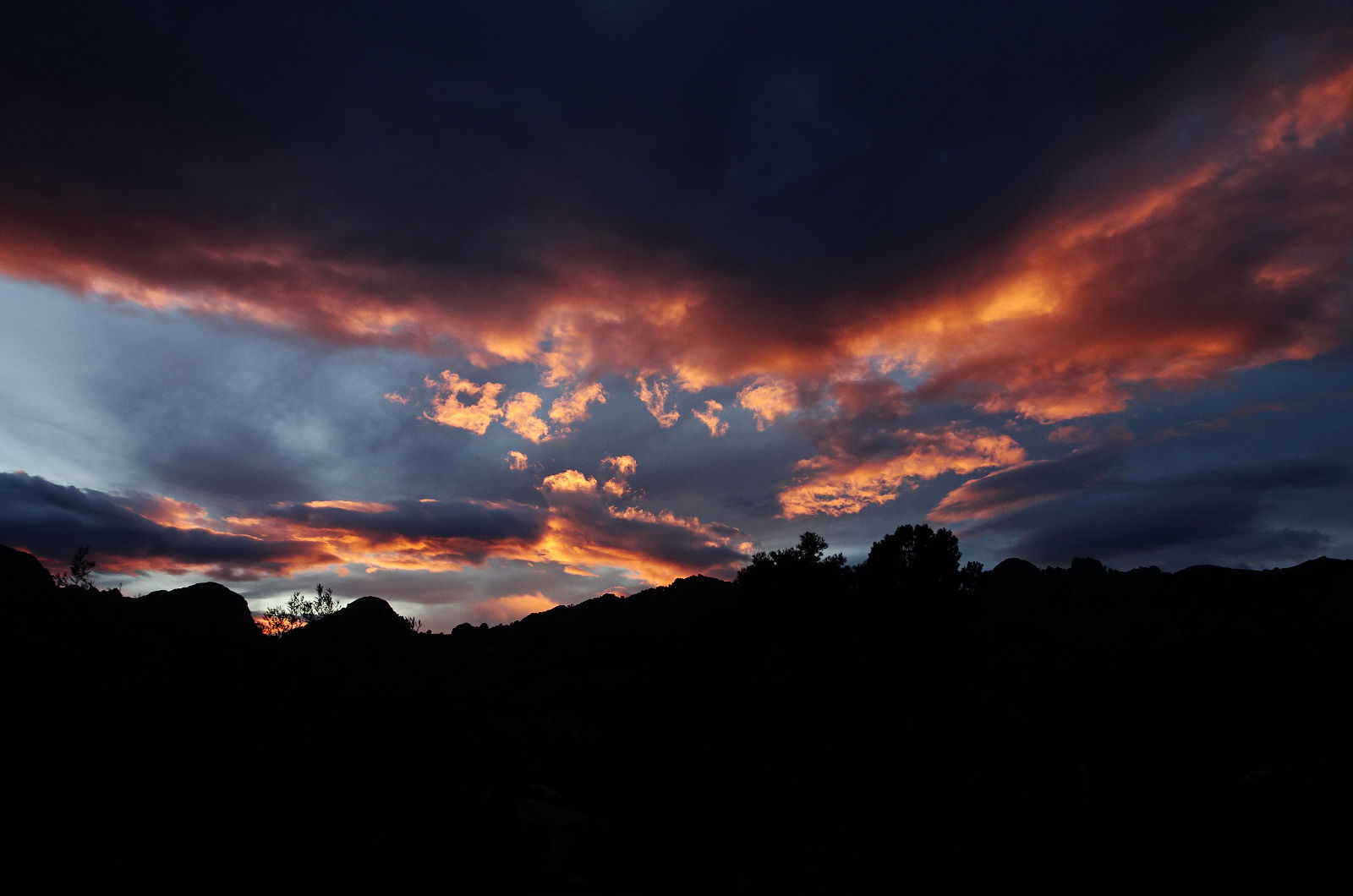 DSC01994a.JPG